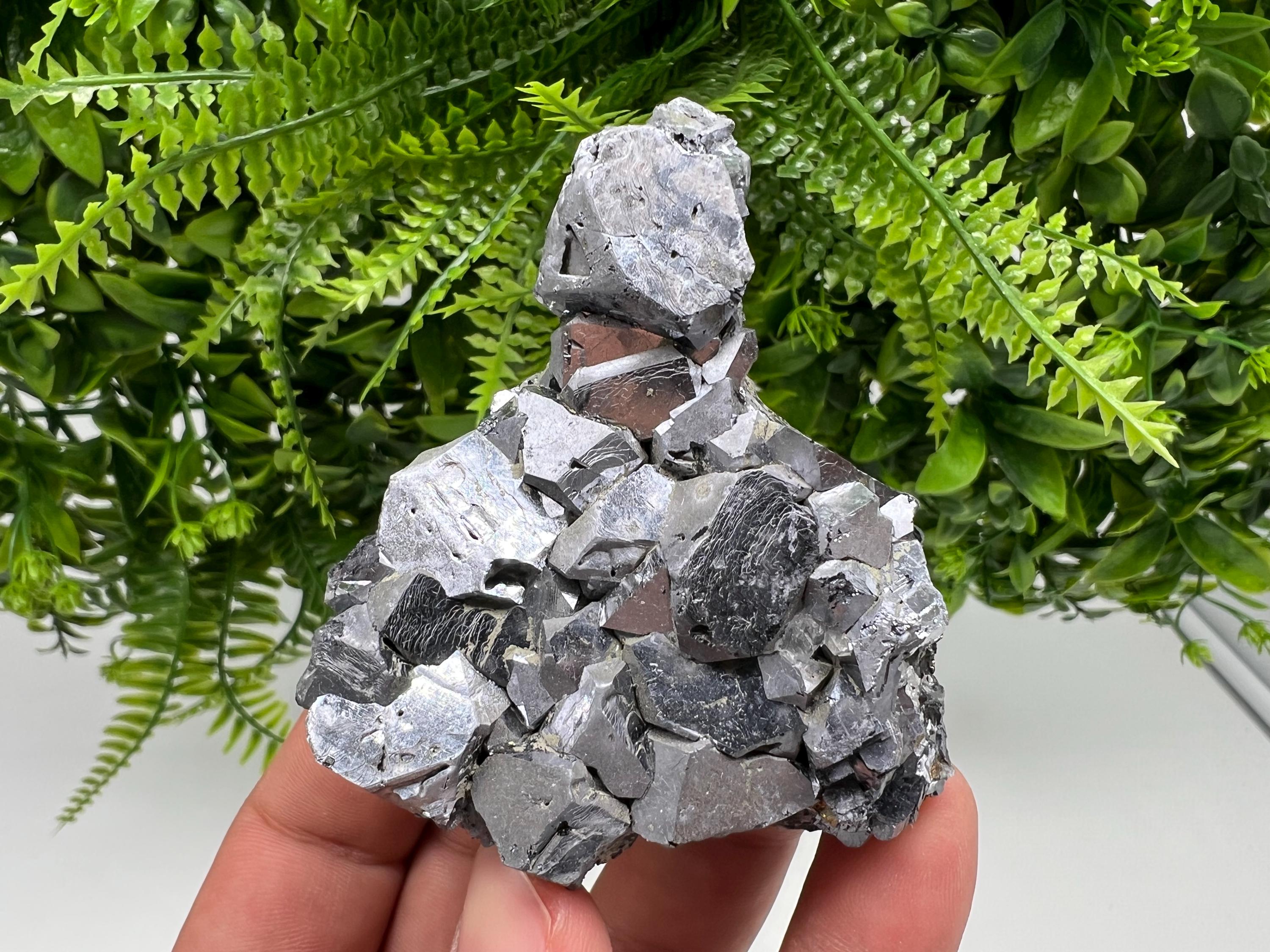 Mirror Galena Mineral Specimen: Rare Crystal from Krushev dol Mine