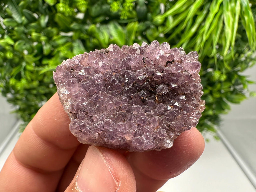 Alacam Amethyst Specimen: Natural Quartz Cluster, Turkish Mineral Decor