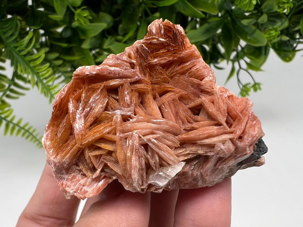 Wonderful Baryte with Cerussite on Galena from Morocco,Crystal, Mineral,Specimen,Cluster,Crystals,Barite Crystal,Cerussite Crystal,Specimen