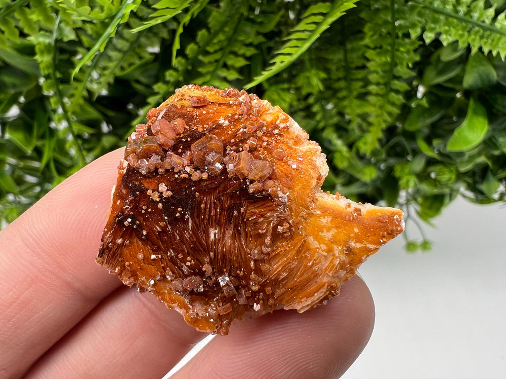 Red Vanadinite on Barite, Morocco Mineral Specimen