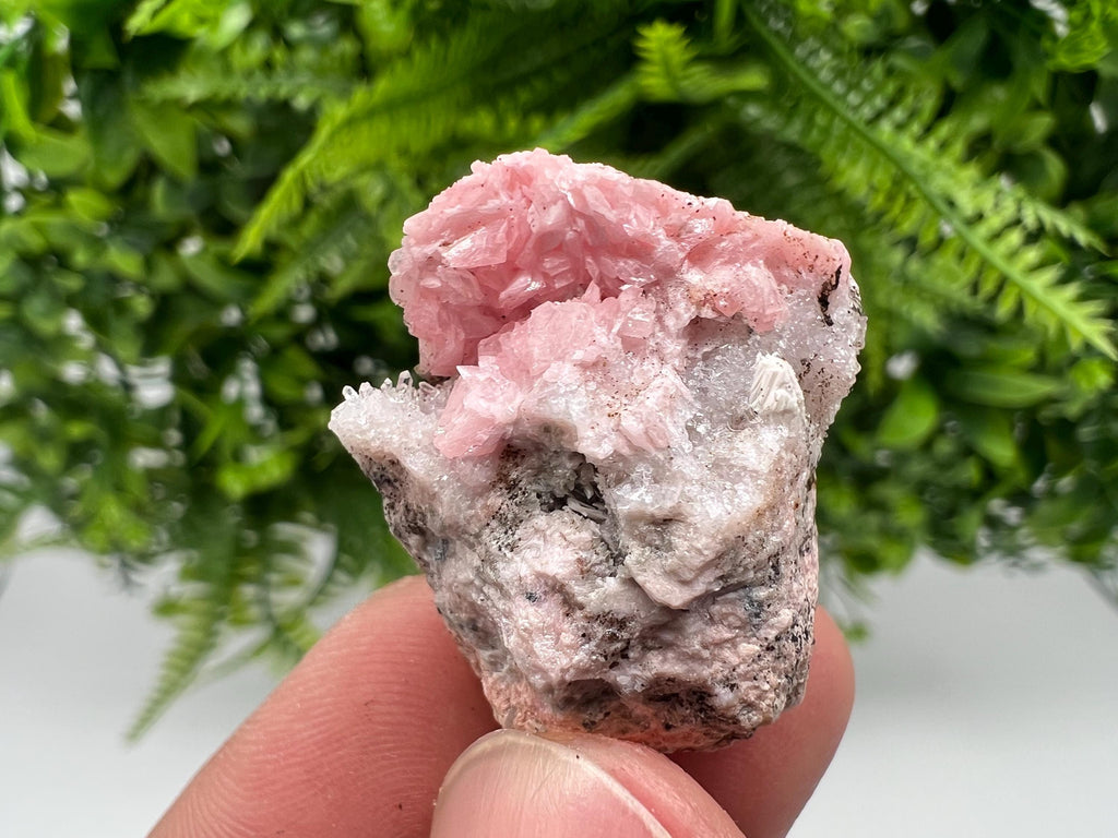 Rhodochrosite on Quartz: Pink Mineral Specimen, Starnica Mine, Bulgaria