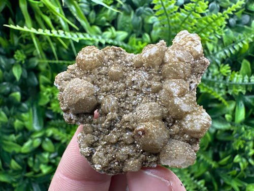 Brown Rhodochrosite on Calcite, Djurcovo Bulgaria, Mineral Specimen