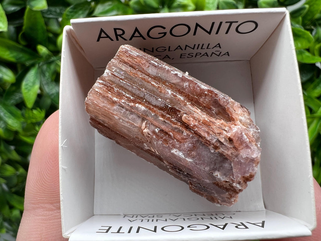 Amazing Aragonite from Spain,Aragonite crystal,cluster,natural,mineral,specimen,Purple Aragonite,Spanish Aragonite,Mineralcollection