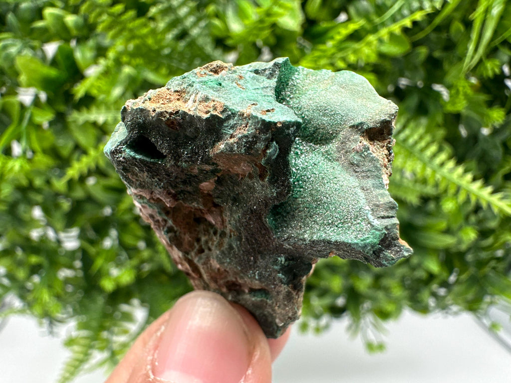 Malachite Crystal from Congo,Minerals,Crystals from Congo,Green Malachite, Malachite,Natural Malachite,Malachite Stone,Chakra, Specimens