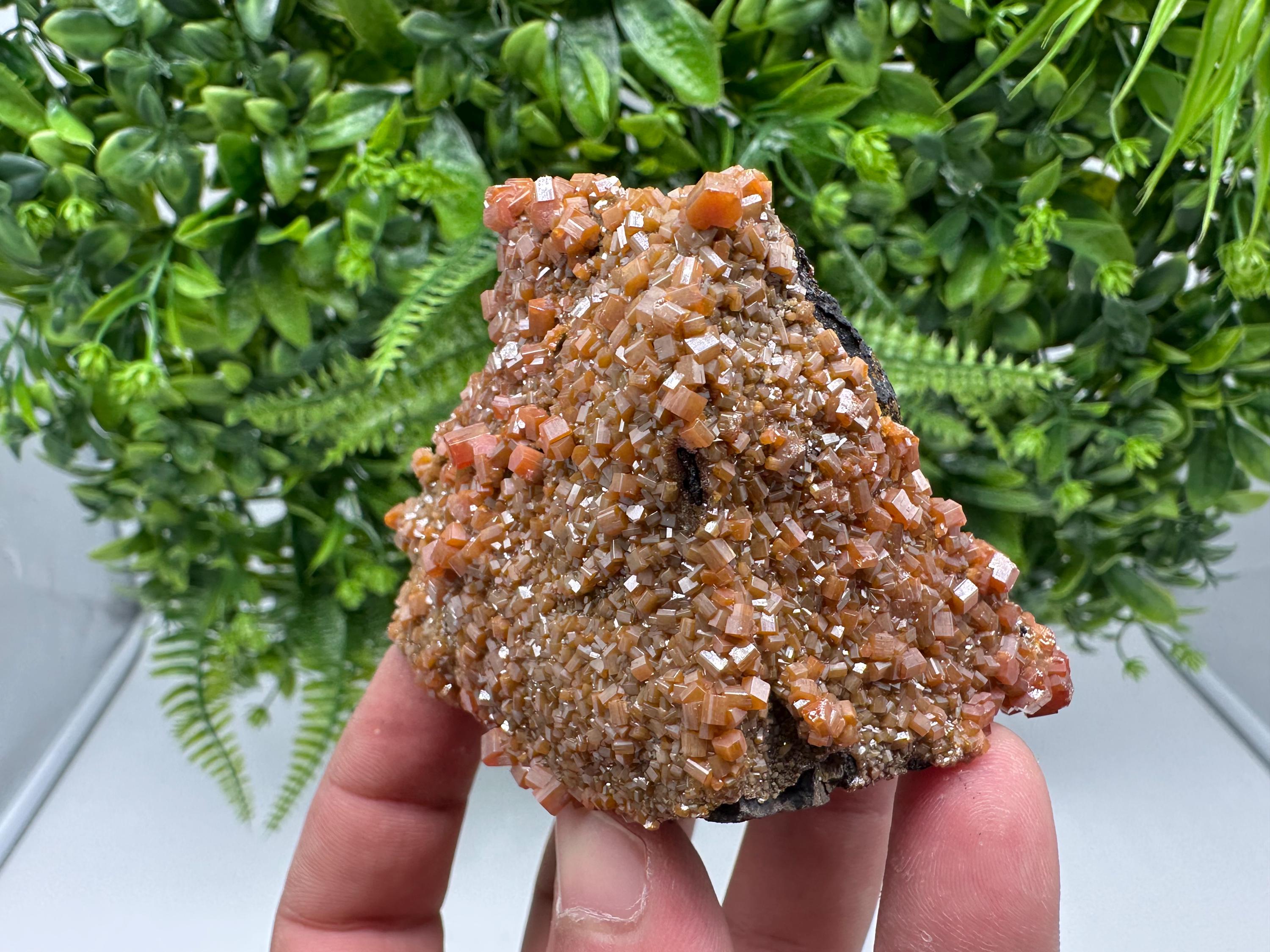 VERY Rare red Vanadinite on Barite whit Goethite from Marocco,crystal minerals Speciment cluster Vanadinite crystal Vanadinite Geology Vanad