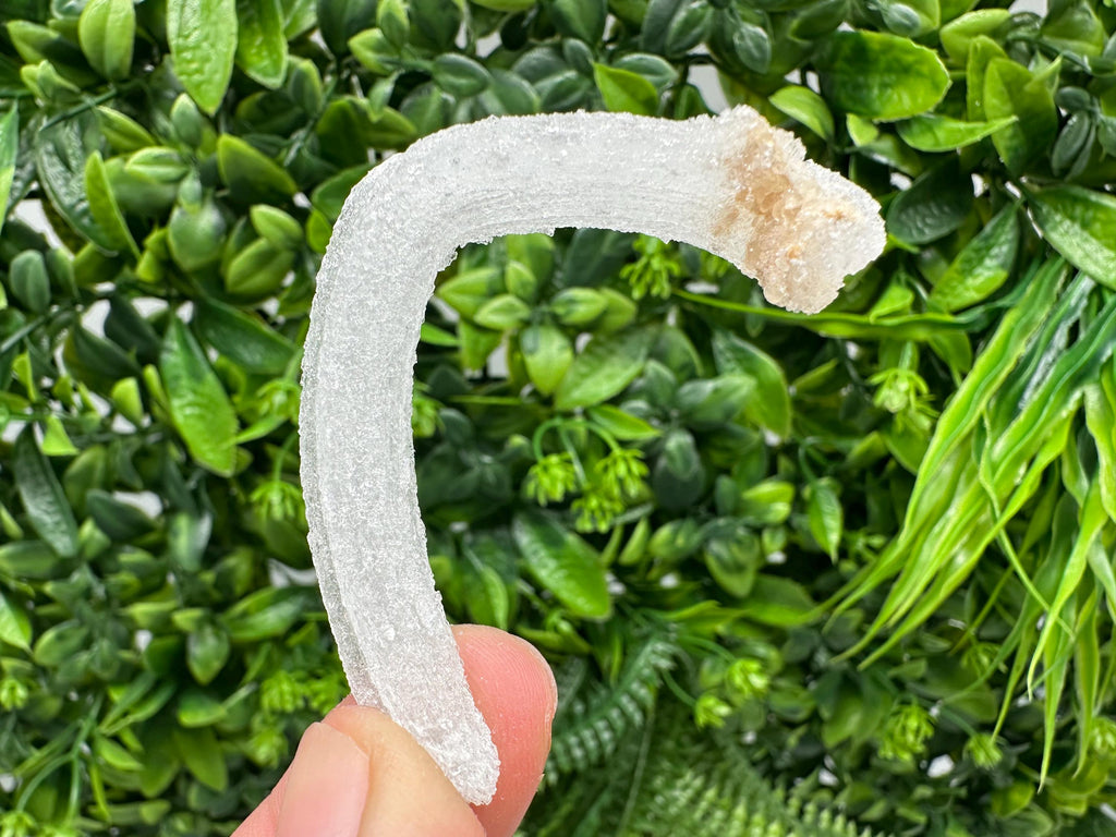 White Selenite Gypsum "Ram's Horn'' Selenite,from Guizhou,China,perfect Shape and Luster,Fluorescent Selenite Gypsum,minerals specimen,colle