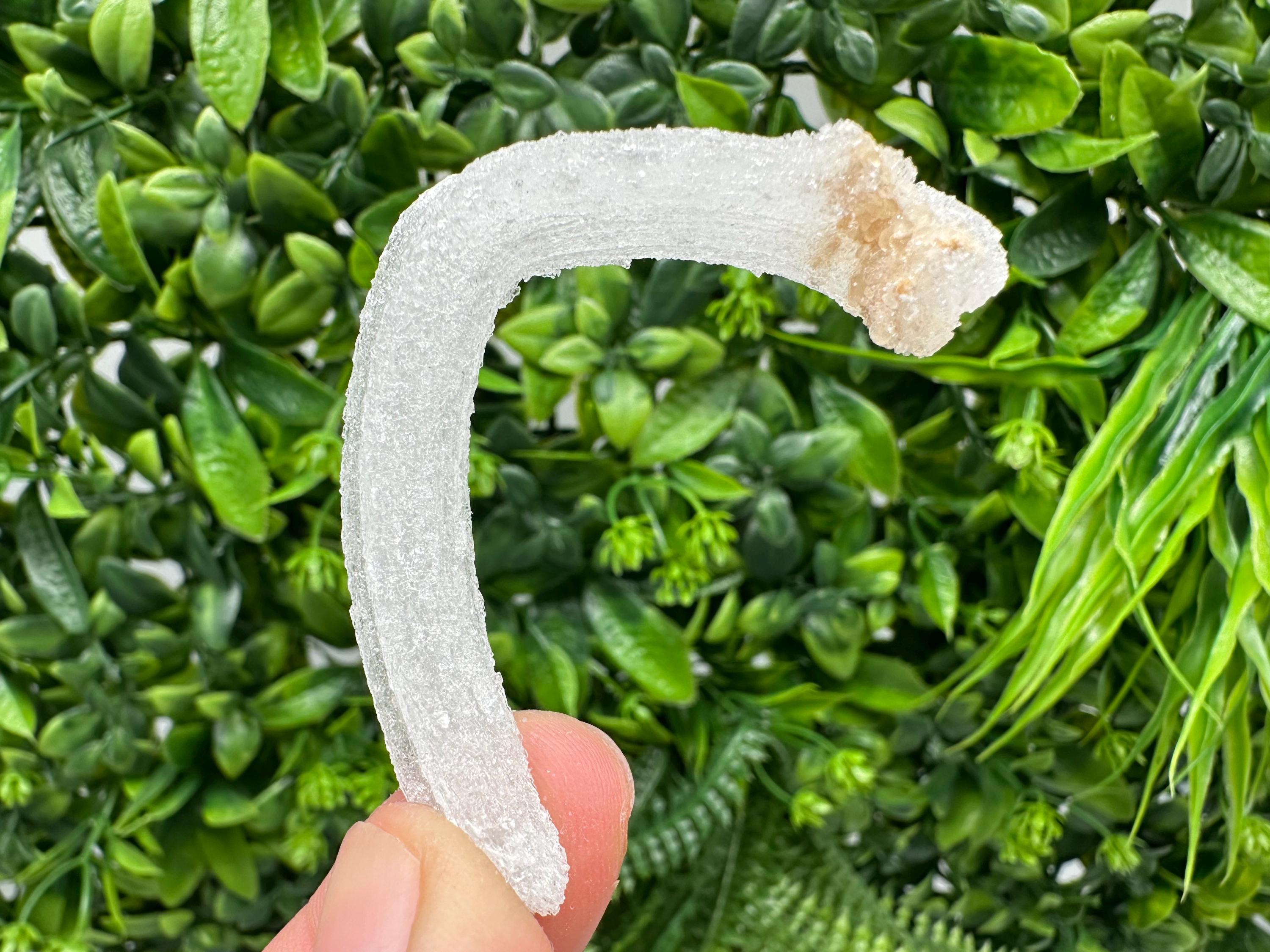 White Selenite Gypsum "Ram's Horn'' Selenite,from Guizhou,China,perfect Shape and Luster,Fluorescent Selenite Gypsum,minerals specimen,colle