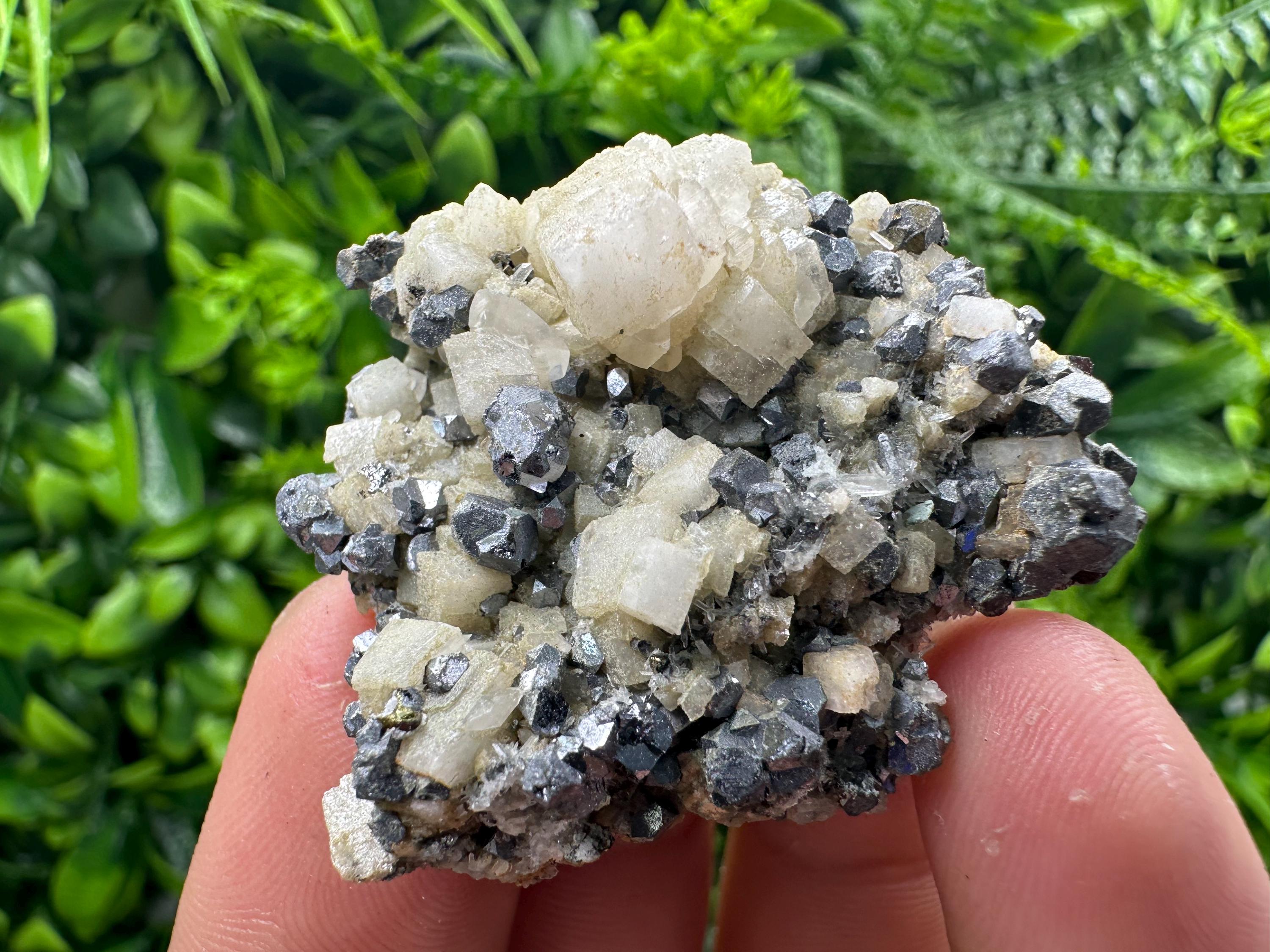 Galena Chalcopyrite on Calcite, Borieva Mine, Bulgaria