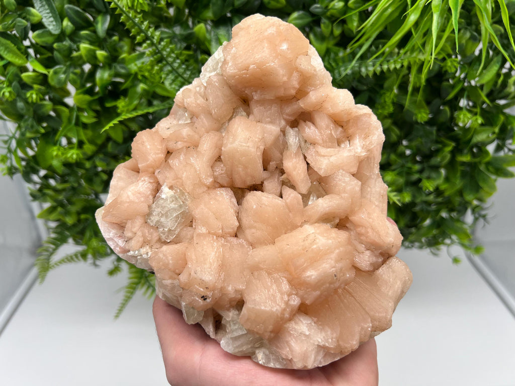 Apophyllite Stilbite on Chalcedony, India Crystal Specimen