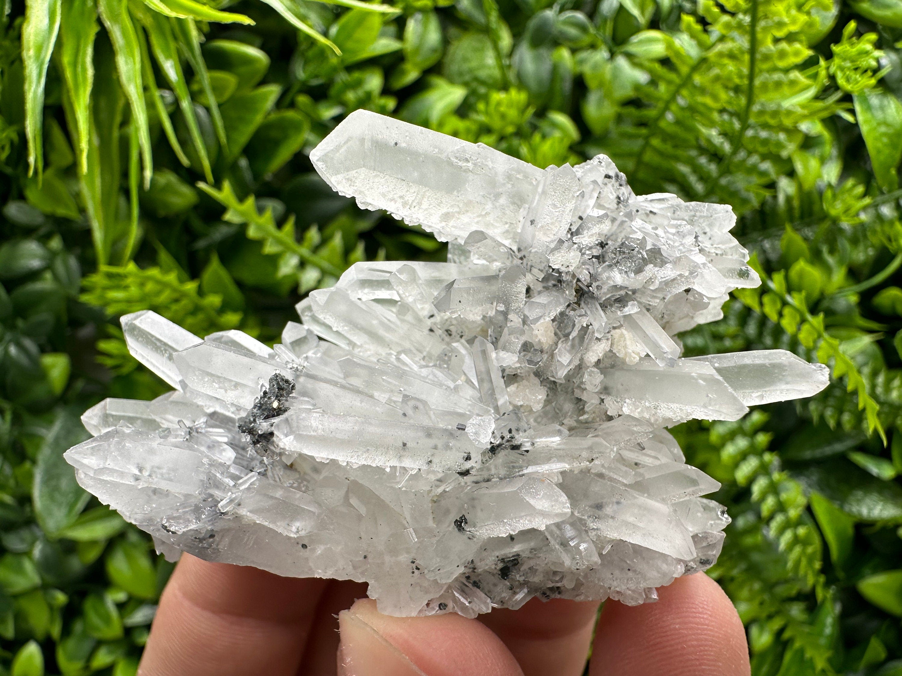 Quartz Calcite Chlorite Crystal: Borieva Mine, Bulgaria