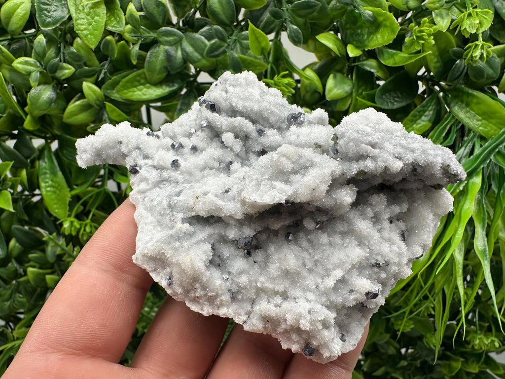 Mirror Galena on Chalcedony, Krushev dol Mine Mineral Specimen