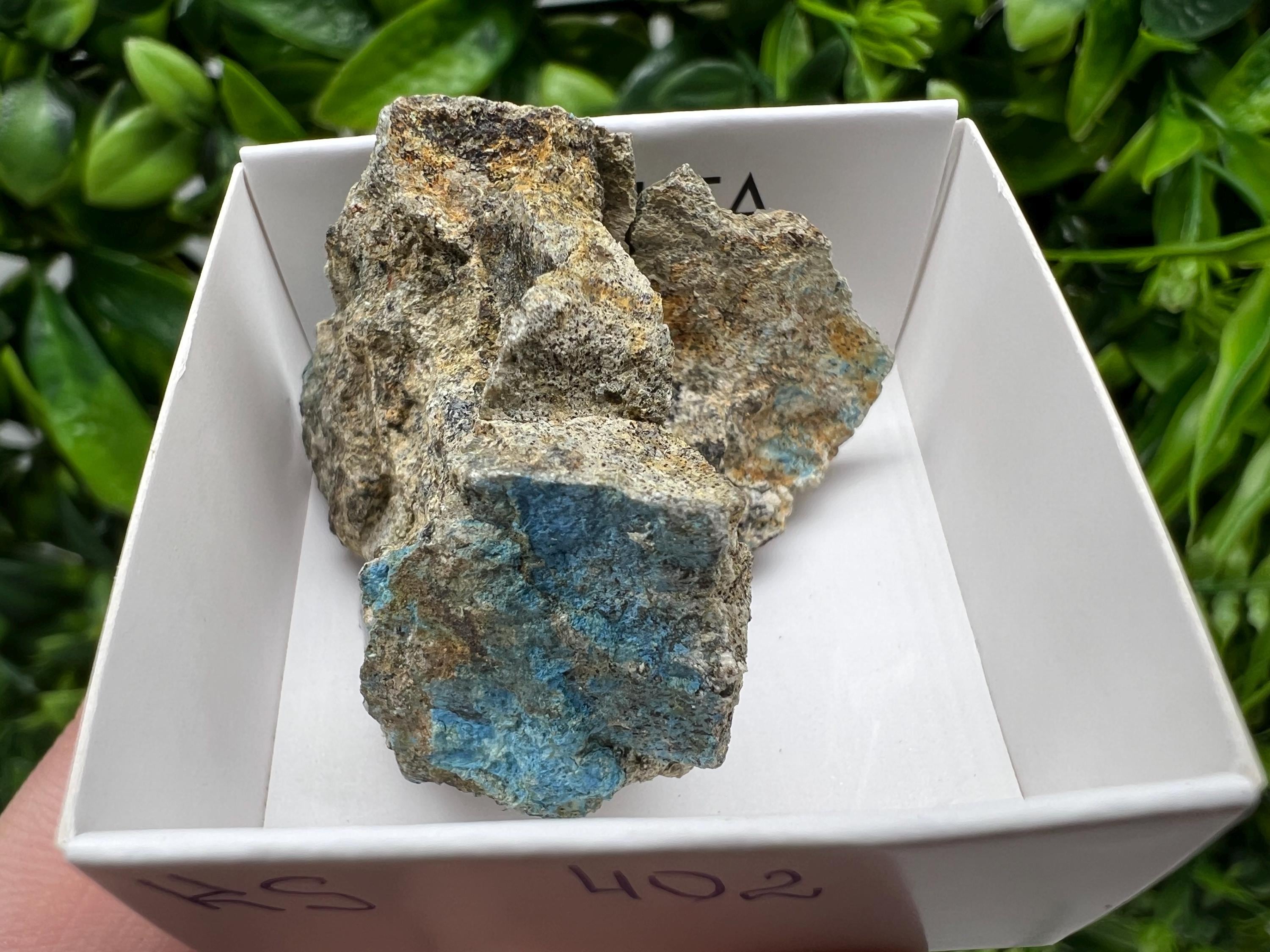 Rare Raw Aerinite Mineral Specimen: Lleida, Spain Crystal
