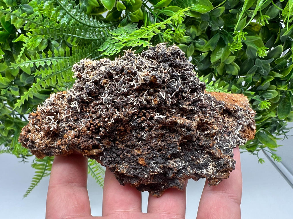 Rare Madjarovo Pyromorphite with Hematite on Quartz, Bulgaria