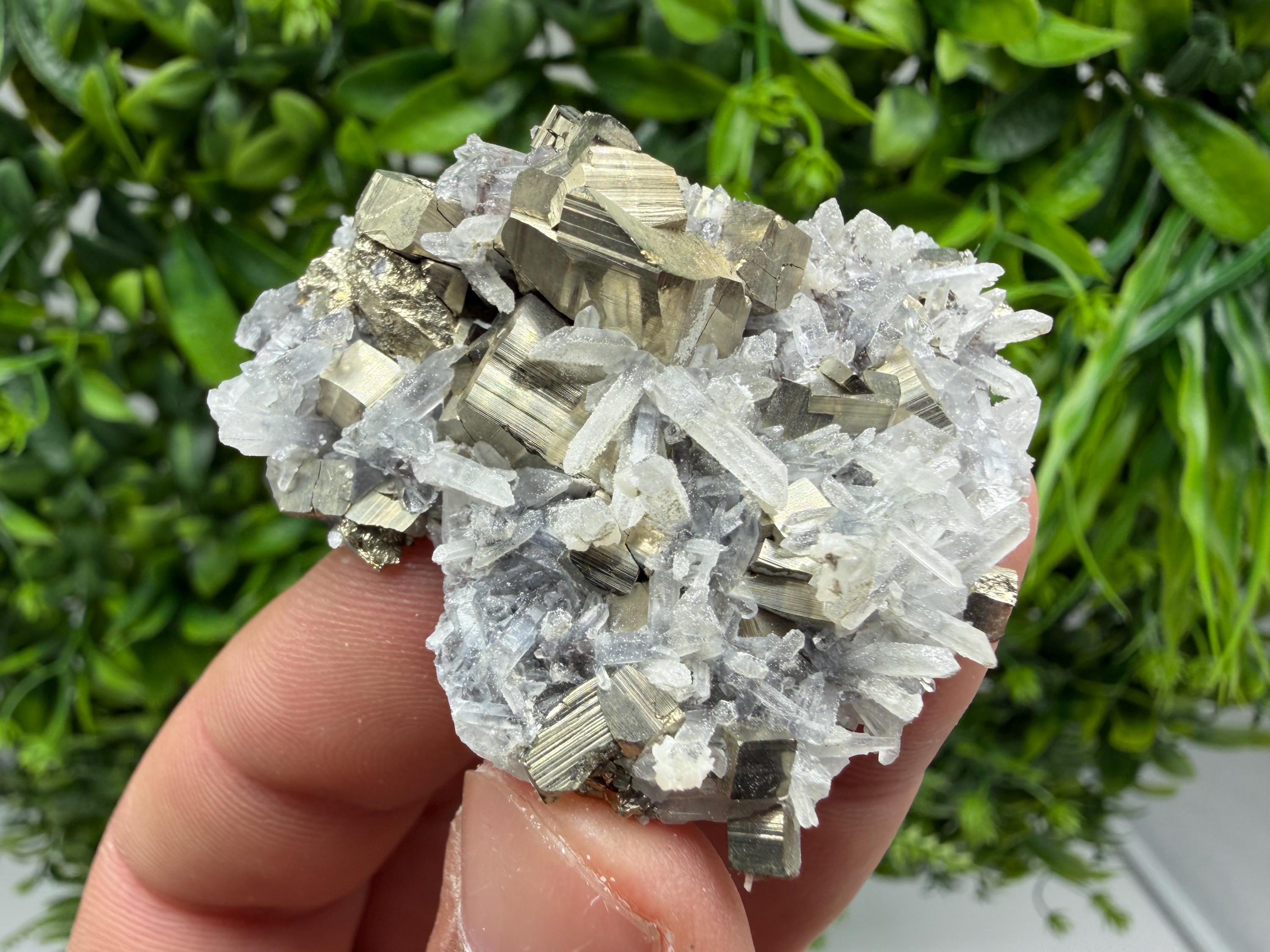 Pyrite Sphalerite Quartz  Mineral Specimen, Krushev dol Mine