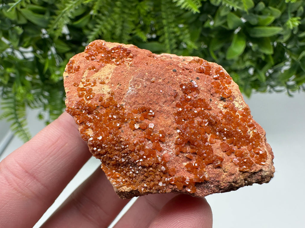 Red Vanadinite on Matrix from Marocco,crystal minerals Speciment cluster Vanadinite crystal Vanadinite Geology Vanadinite cluster minerals