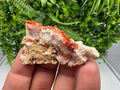 Red Vanadinite on Barite from Marocco,crystal minerals Speciment cluster Vanadinite crystal Vanadinite Geology Vanadinite cluster minerals