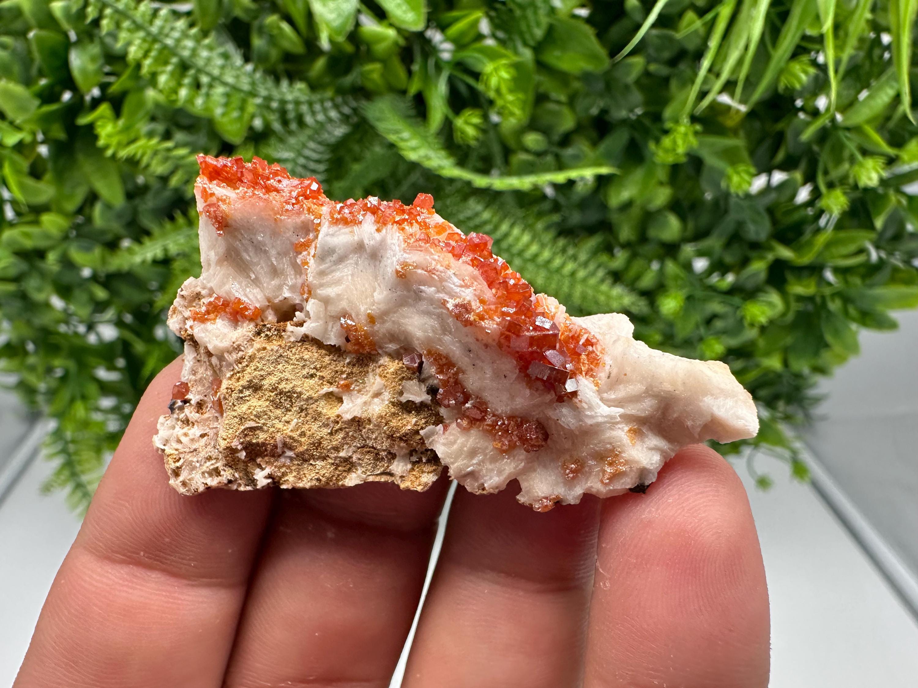 Red Vanadinite on Barite from Marocco,crystal minerals Speciment cluster Vanadinite crystal Vanadinite Geology Vanadinite cluster minerals
