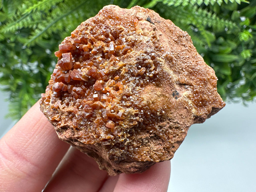Red Vanadinite on Matrix from Marocco,crystal minerals Speciment cluster Vanadinite crystal Vanadinite Geology Vanadinite cluster minerals