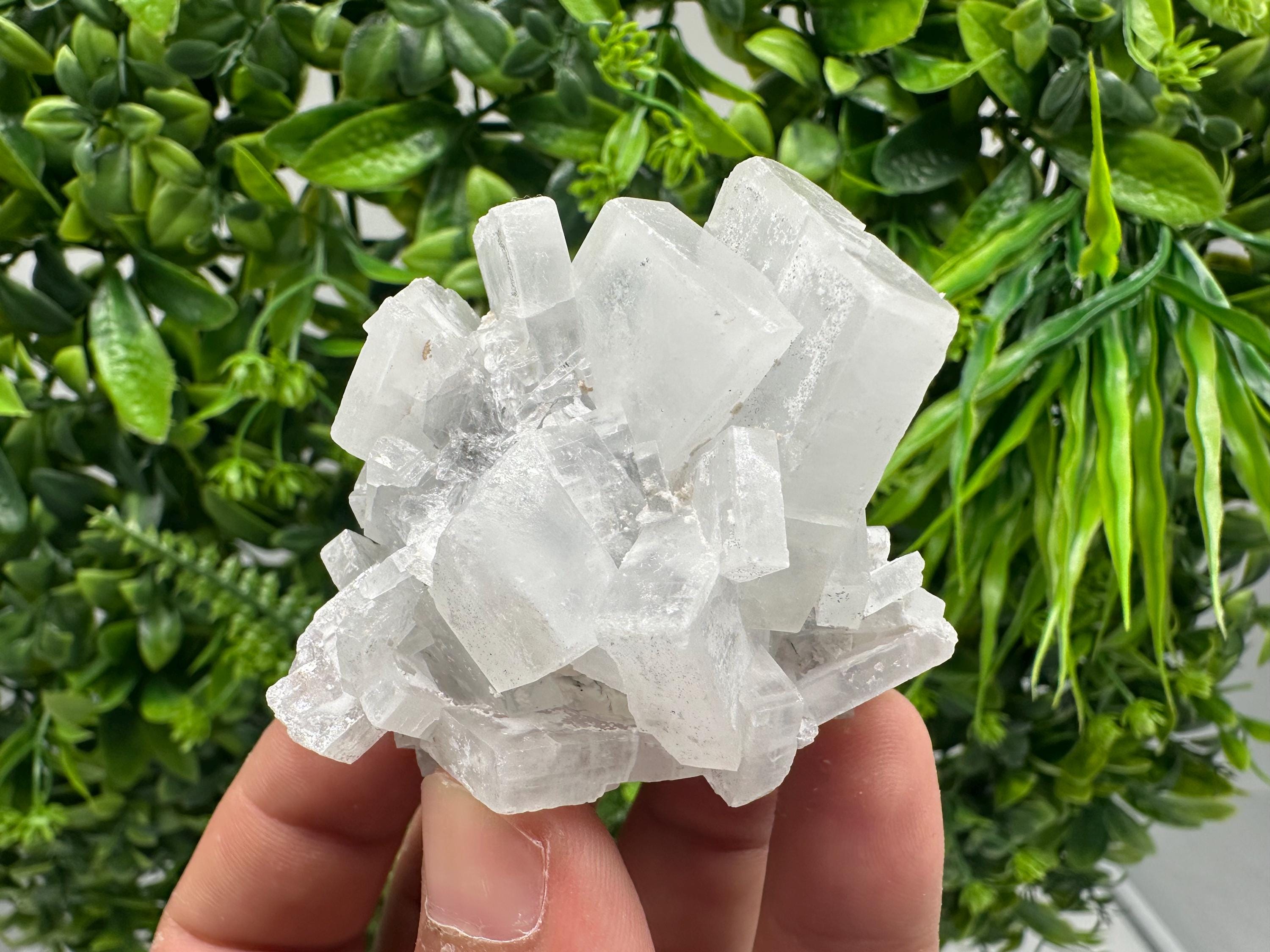 Barite Marcasite Chalcedony Cluster, Androvo Mine Bulgaria