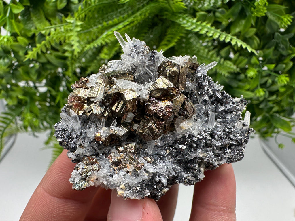 Rainbow Pyrite Sphalerite on Quartz: Natural Crystal Home Decor