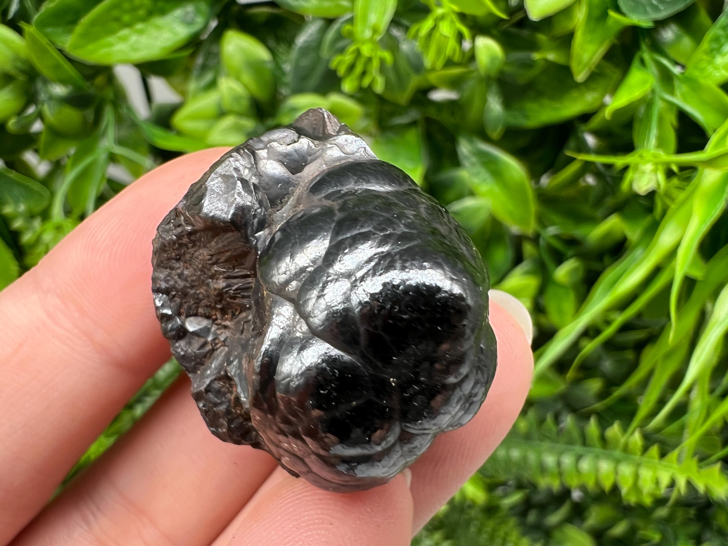 Botryoidal Black Hematite Specimen: Moroccan Crystal, Reiki Chakra