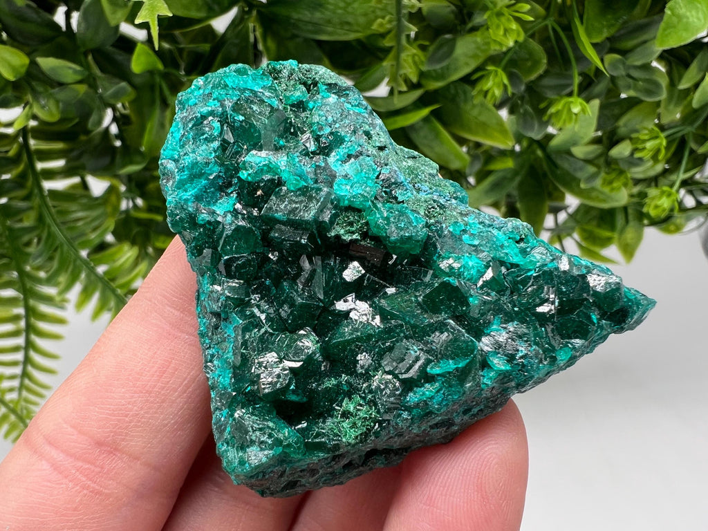 Stunning Green Dioptase from Sanda Hills,Mindouli,Pool Department,Mindouli District,Congo,green Dioptase,Dioptas Crystal,Dioptase collecting