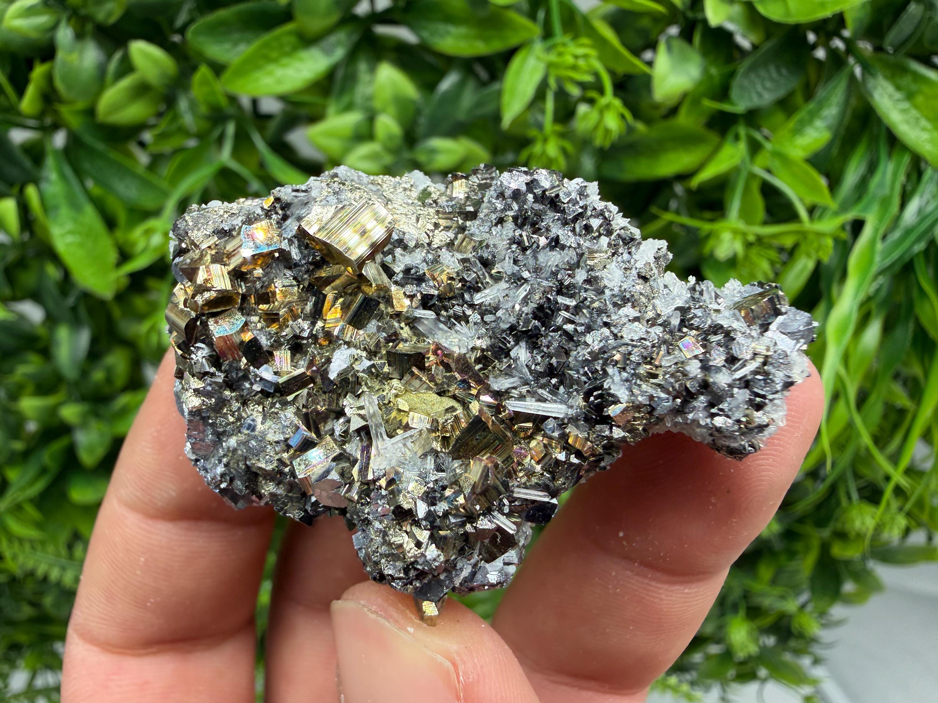 Pyrite Sphalerite Quartz  Mineral Specimen, Krushev dol Mine