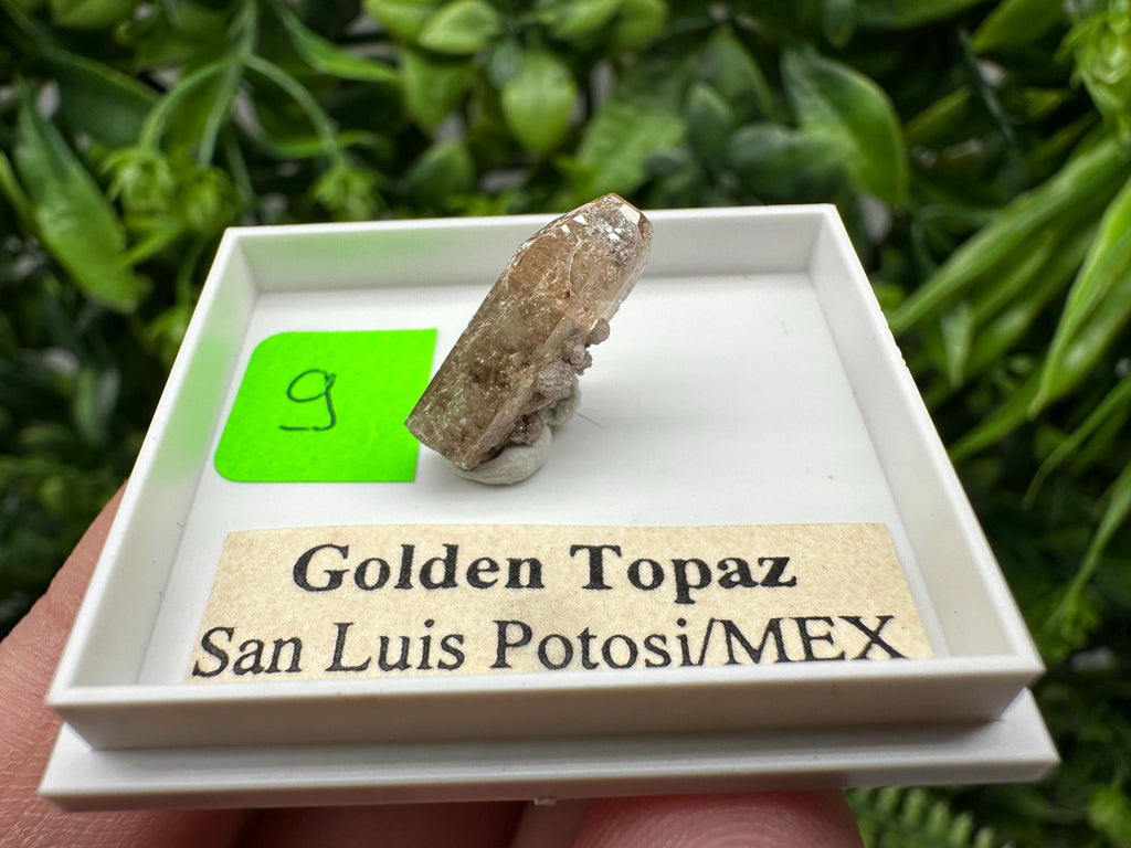 Golden Topaz Crystal, Mineral Specimen from Mexico