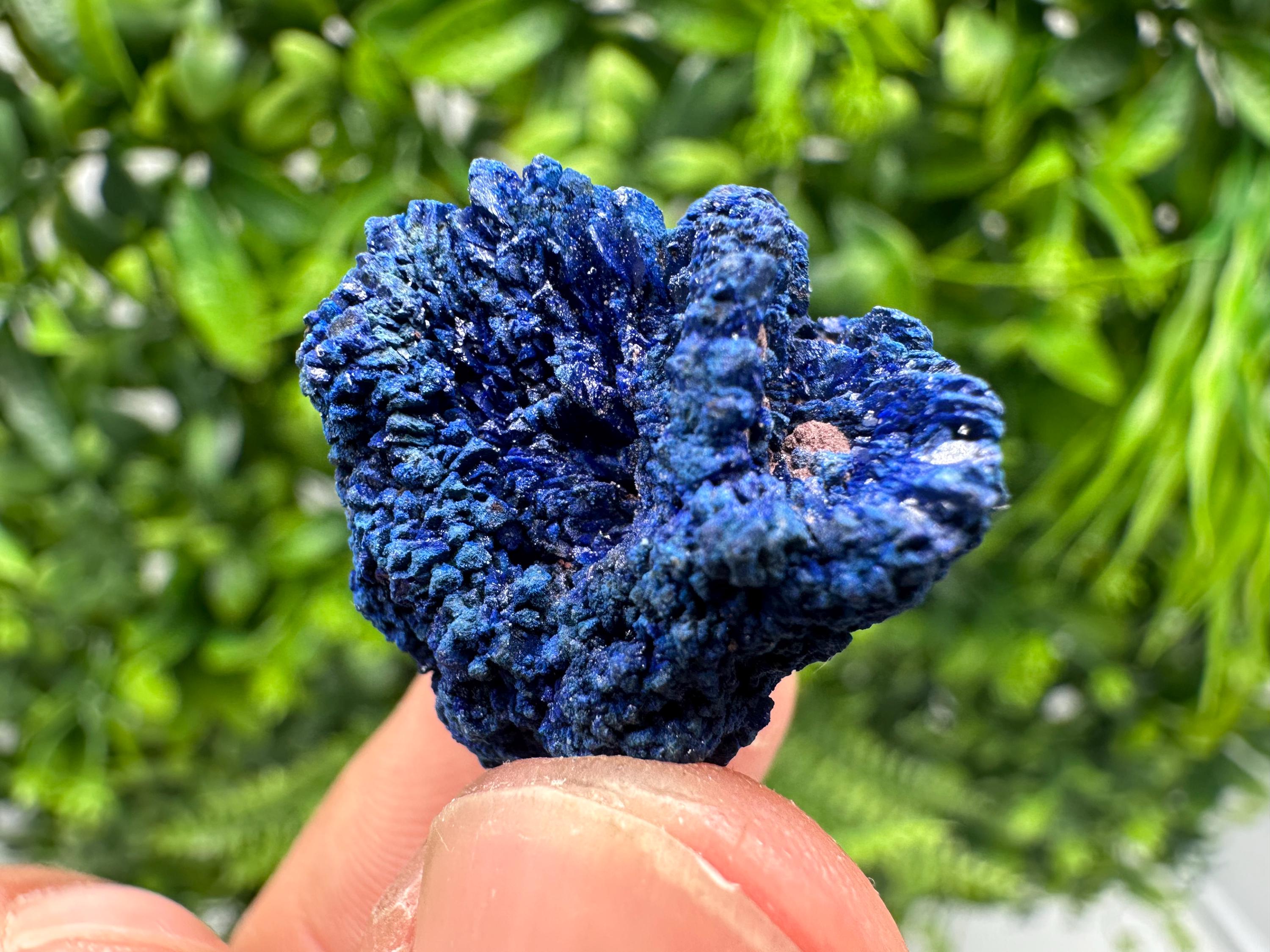 Crystallized Azurite-Kerrouchen,Morocco-Blue Azurite Specimen-High Quality Blue Azurite-Azurite Mineral Specimen, gemmy,lustrous of Azurite