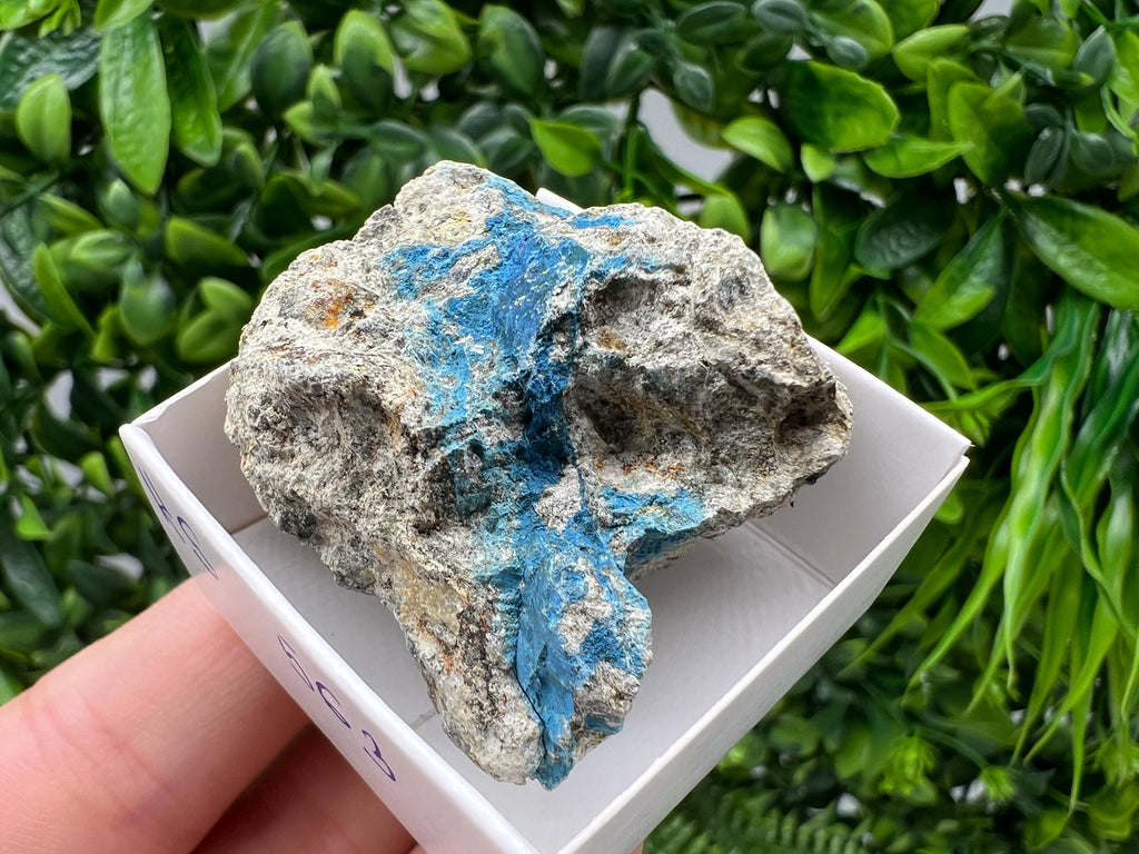 Rare Raw Aerinite Mineral Specimen: Collection Crystal from Lleida, Spain (4/3.5 CM)
