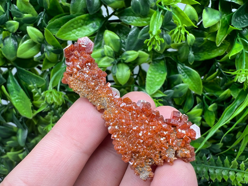 Red Vanadinite on Barite from Marocco,crystal minerals Speciment cluster Vanadinite crystal Vanadinite Geology Vanadinite cluster minerals
