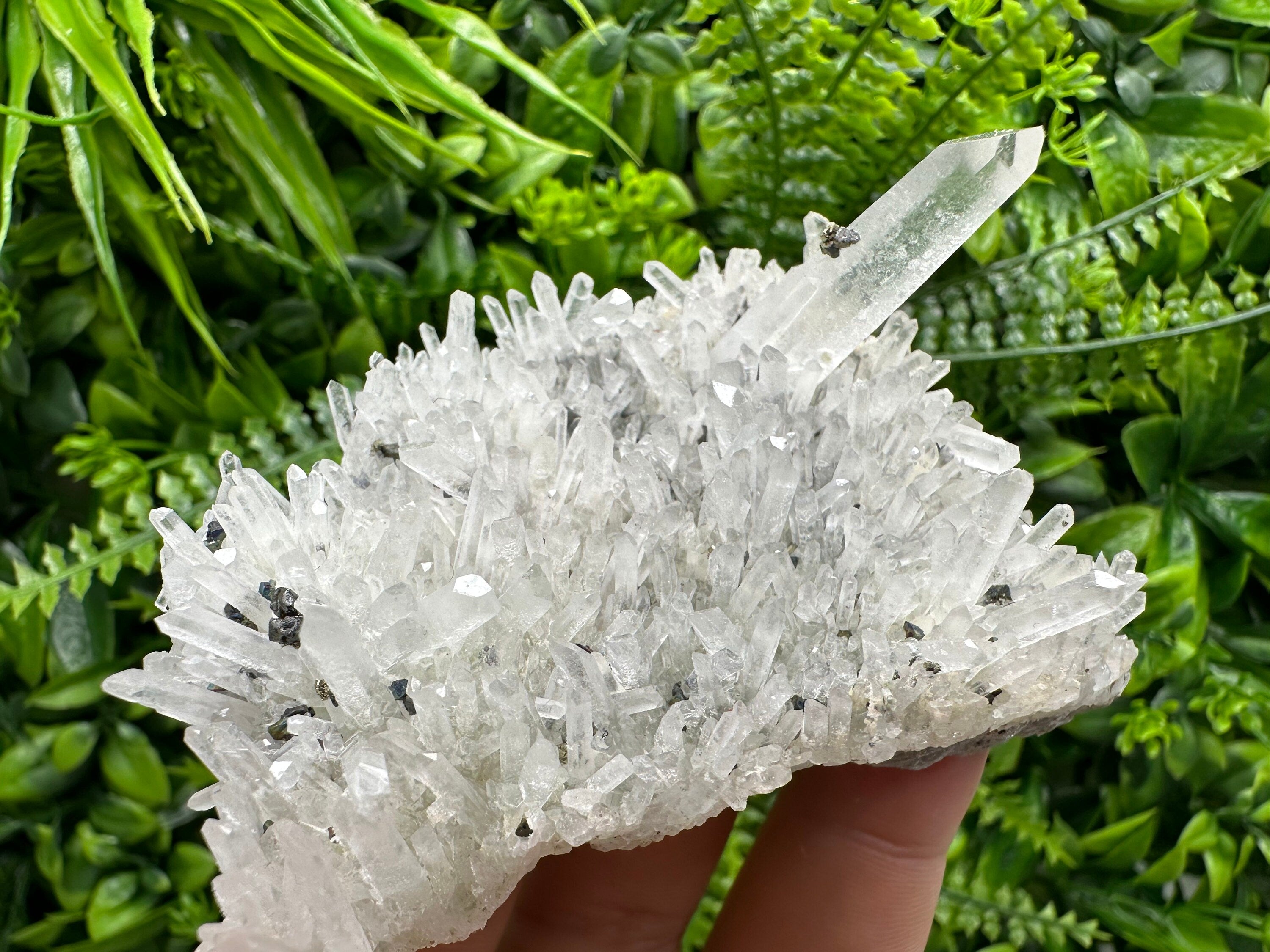 Quartz with Pyrite and Galena, Krushev Dol Mine, Bulgaria