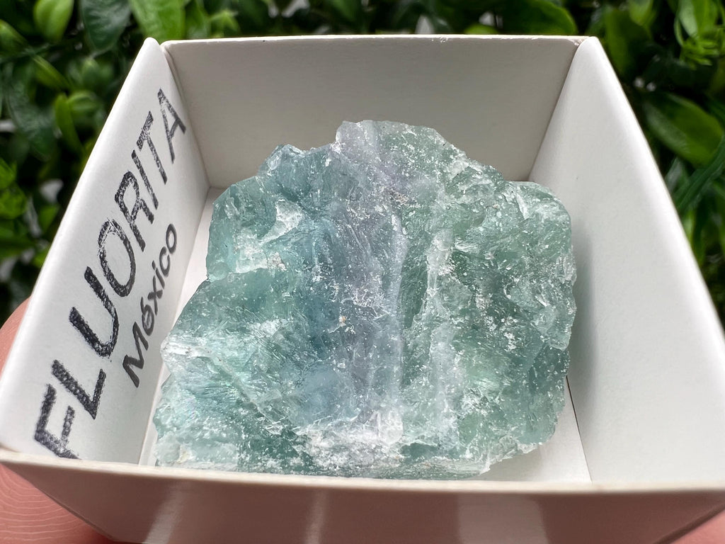 Rare Rainbow Fluorite Cube: Raw Crystal from Mexico, Vintage Meditation Stone
