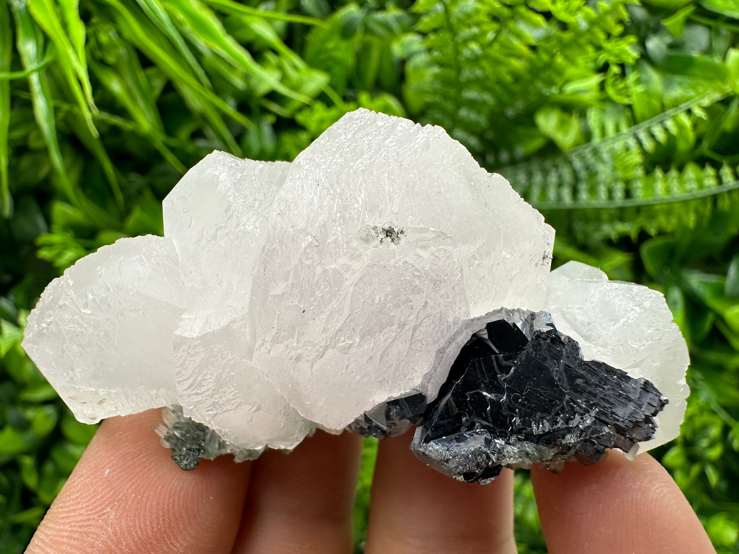 Fluorescent Calcite with Galena, Borieva Mine Crystal, Bulgaria