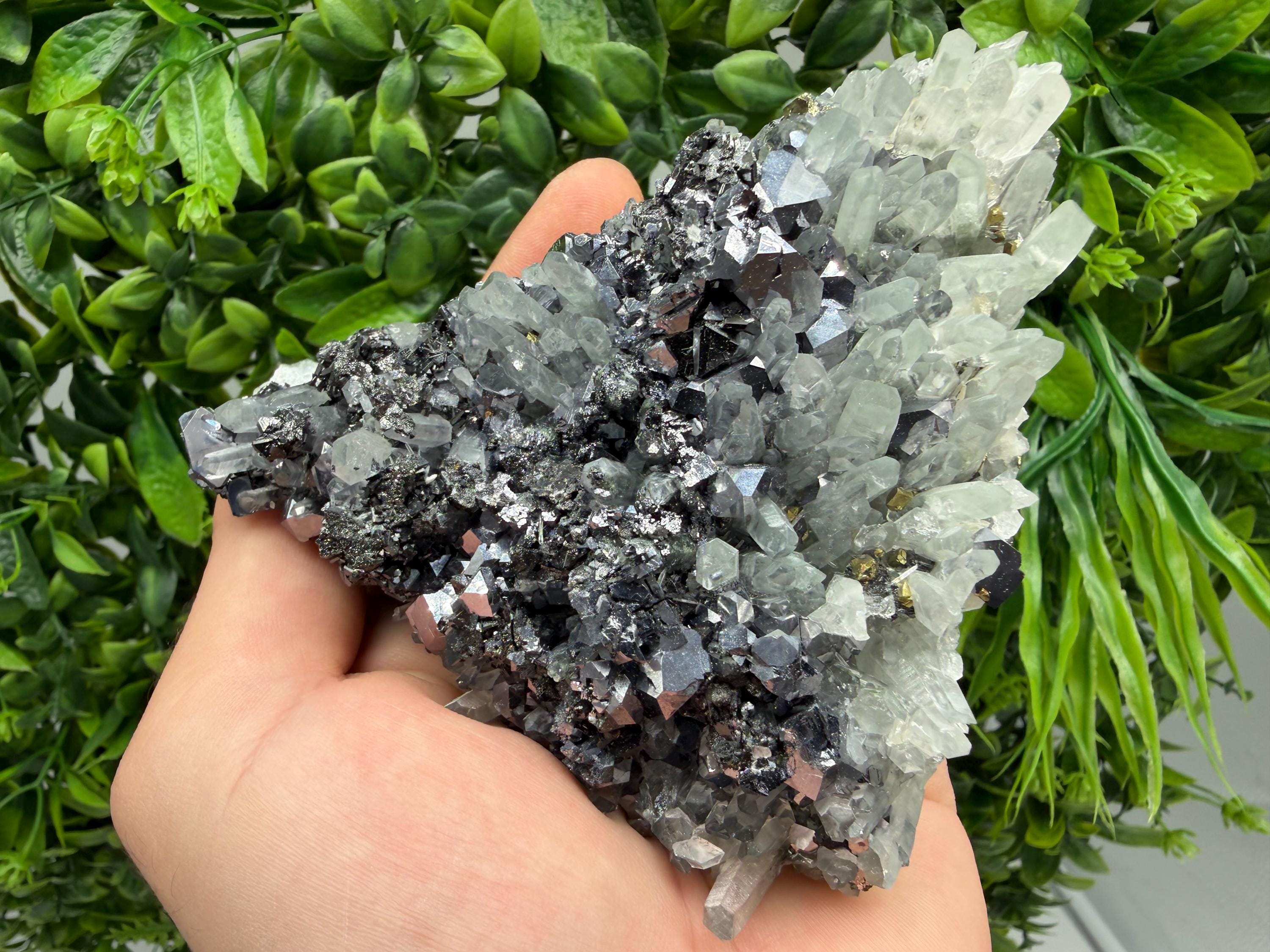 Galena Sphalerite Pyrite on Quartz, Borieva Mine, Bulgaria