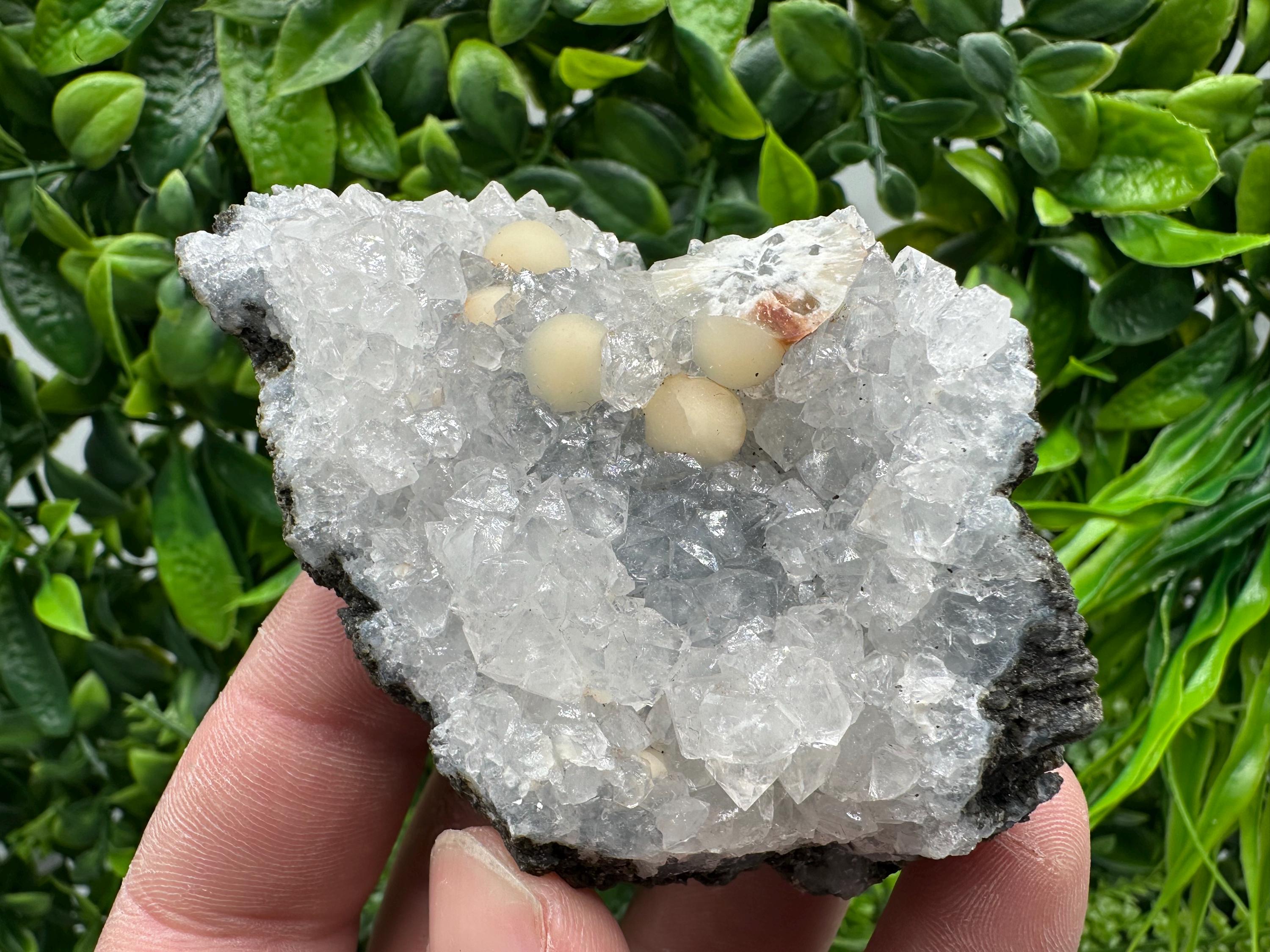 Transparent Apophyllite on Chalcedony, India Mineral Specimen