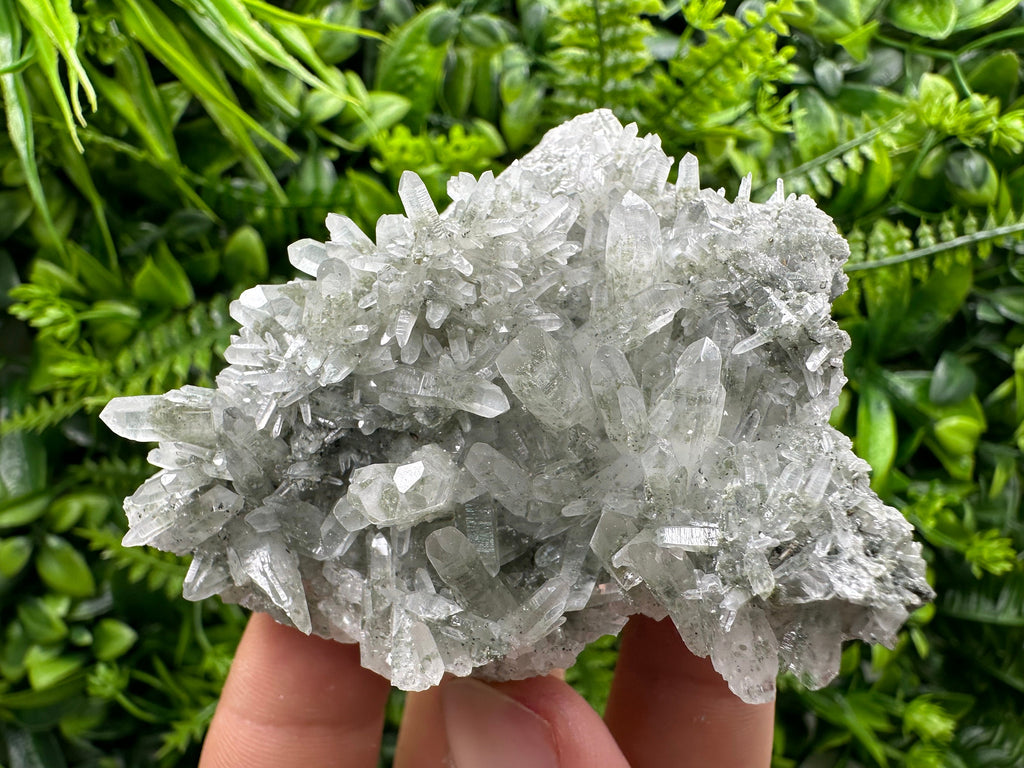 Chlorite Quartz Cluster, Borieva Mine Mineral Specimen, Bulgaria