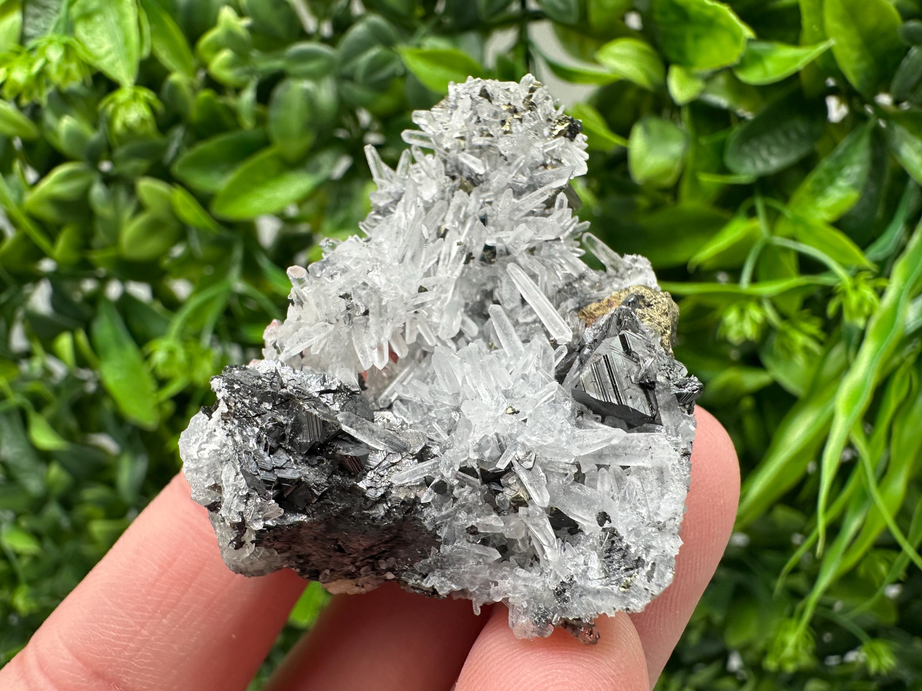 Wonderful Sphalerite Chalcopyrite on  Quartz whit Galena feom 9 th September mine,Bulgaria,natural,collection mineral specimen,gift