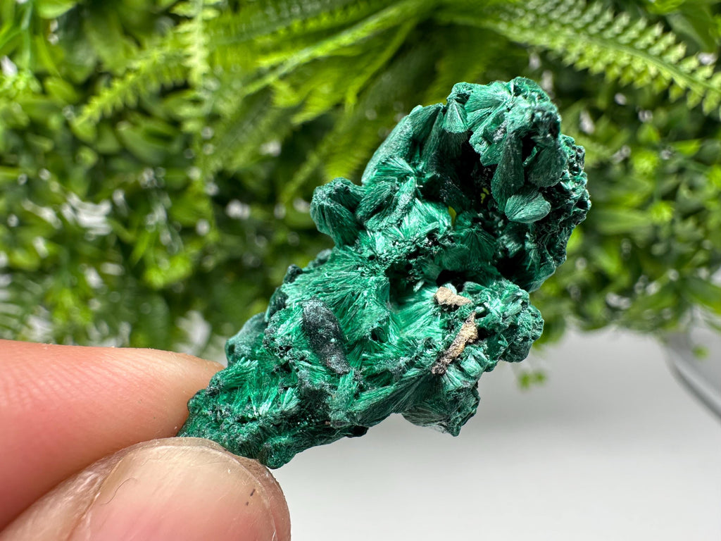 Malachite Crystal from Congo,Minerals,Crystals from Congo,Green Malachite, Malachite,Natural Malachite,Malachite Stone,Chakra, Specimens