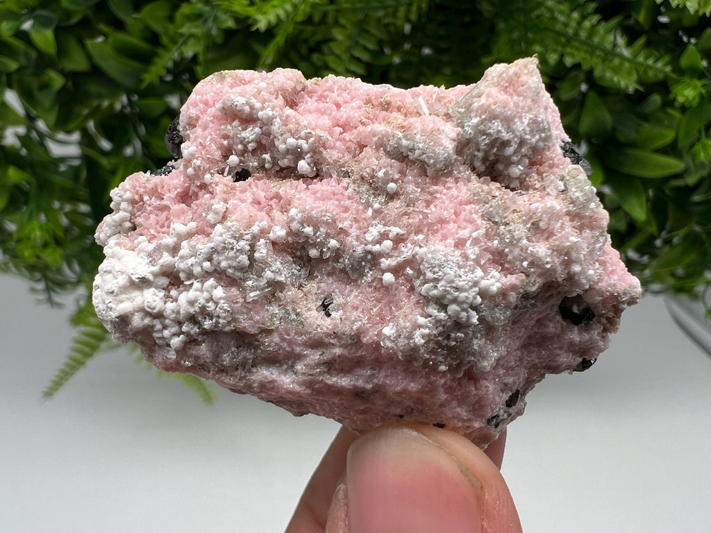 RARE Rhodochrosite with White Calcite, Starnica Mine, Bulgaria