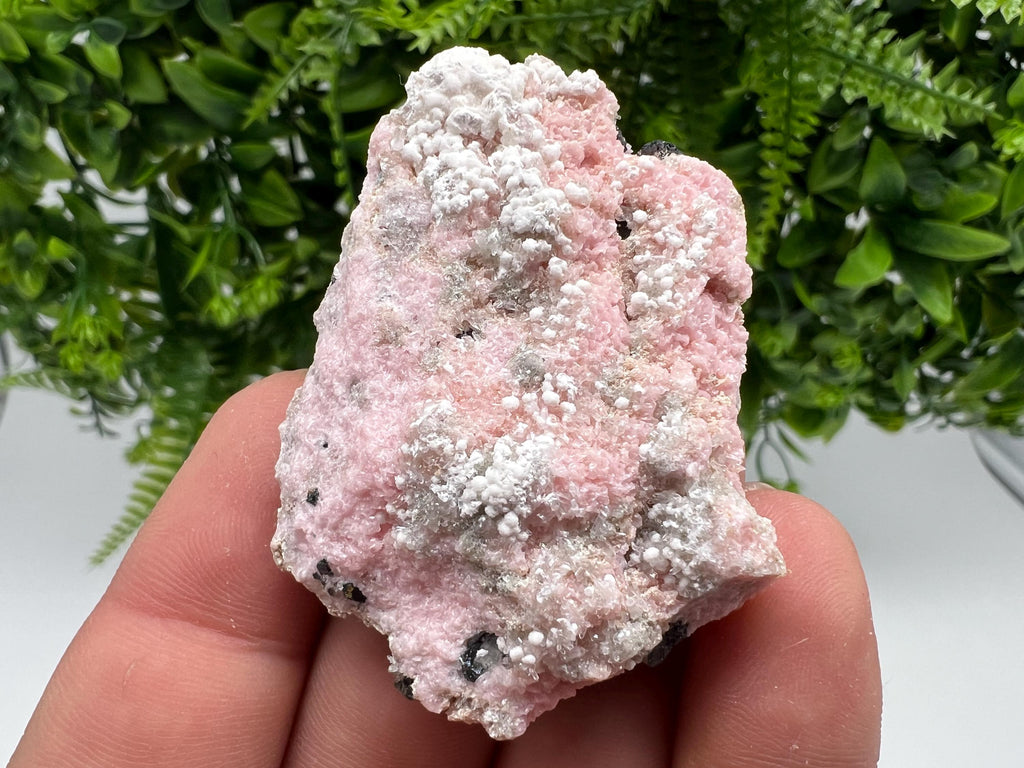 RARE Rhodochrosite with White Calcite, Starnica Mine, Bulgaria