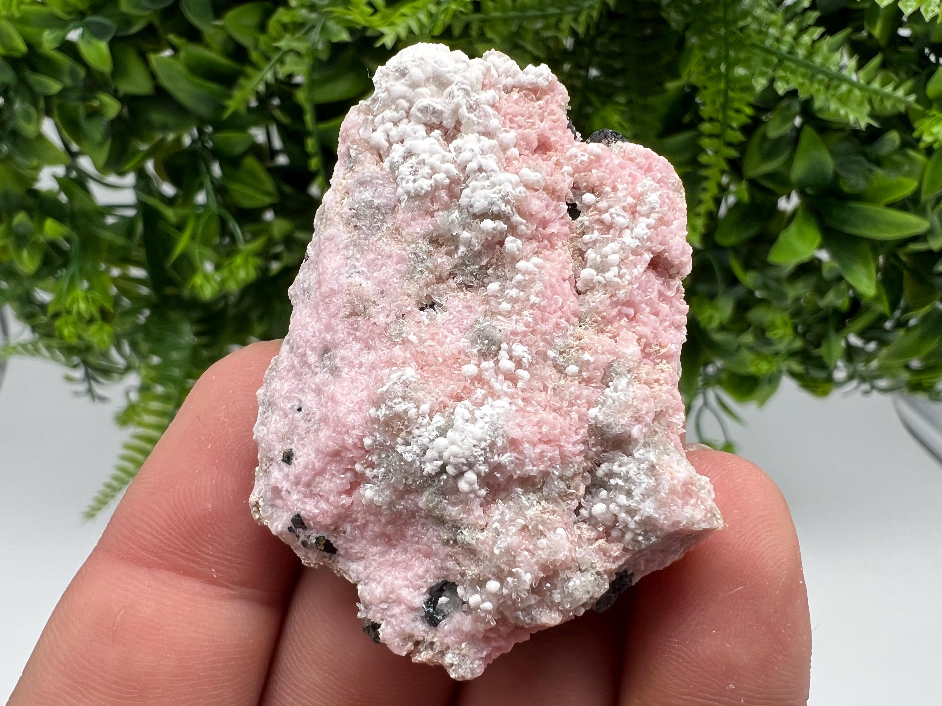 RARE Rhodochrosite with White Calcite, Starnica Mine, Bulgaria