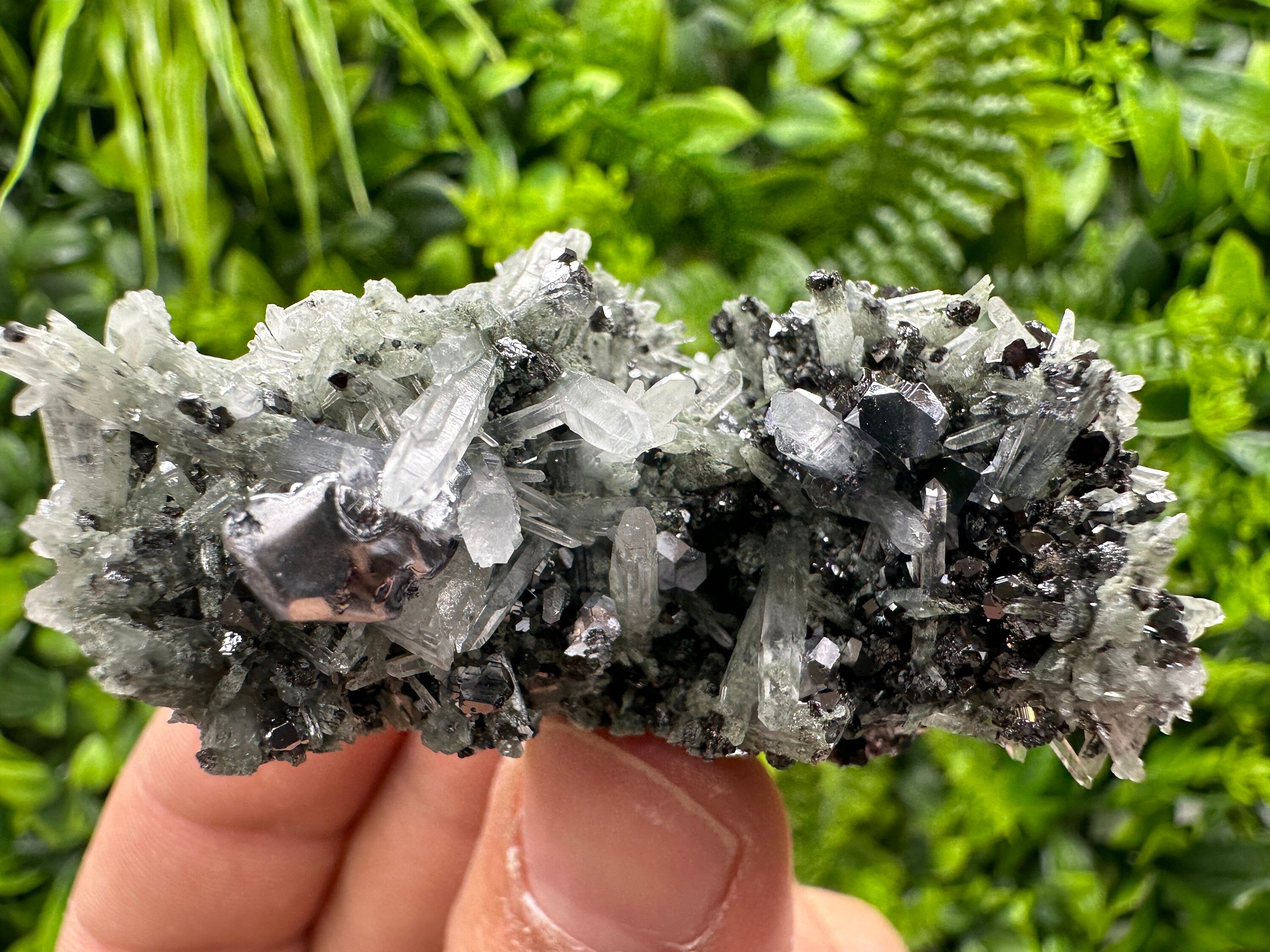 Galena with Sphalerite on Green Quartz - Madan Bulgaria Crystal