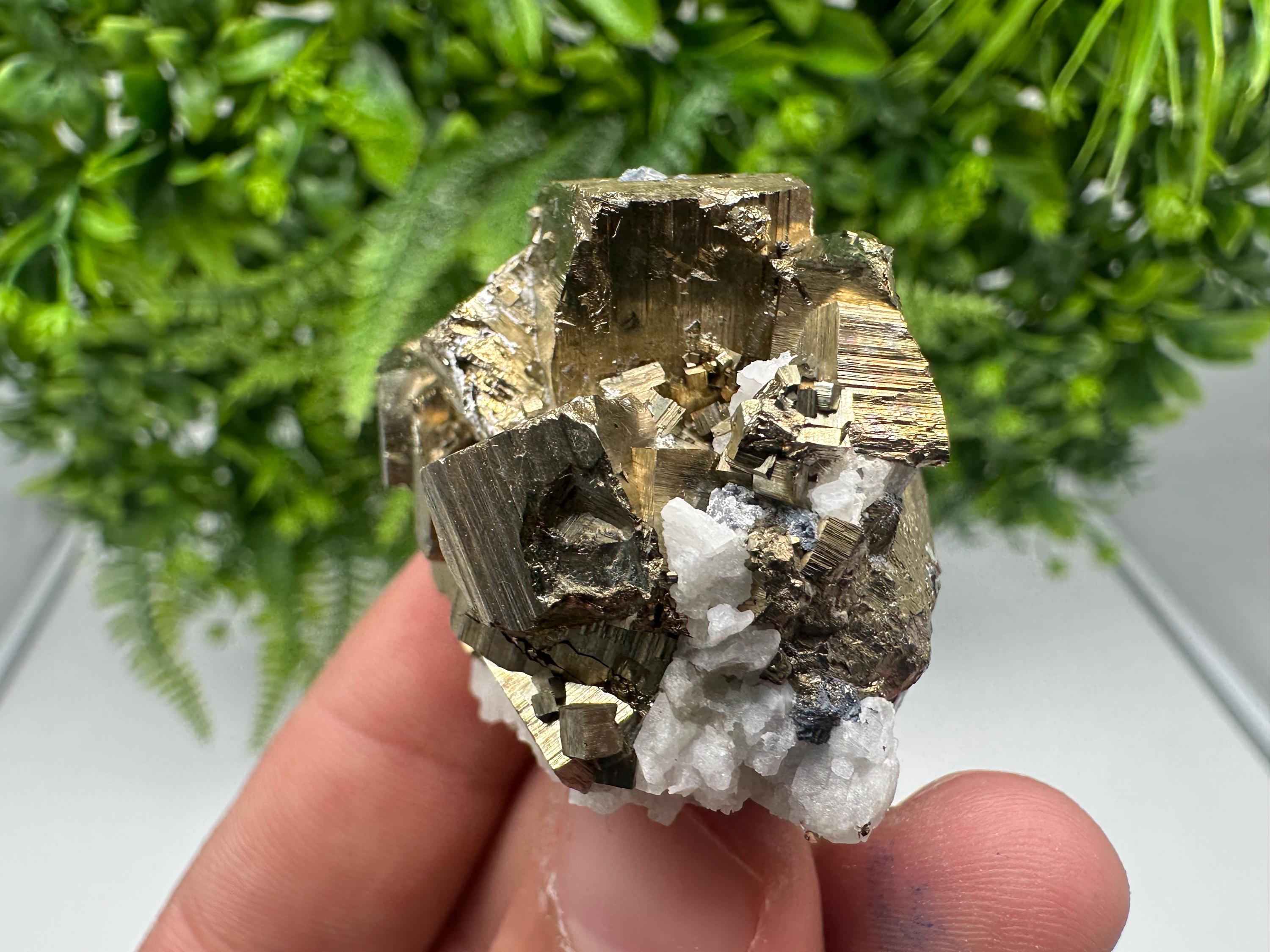 Rare Crystallization Pyrite, Borieva Mine, Bulgaria, Rainbow Golden Pyrite