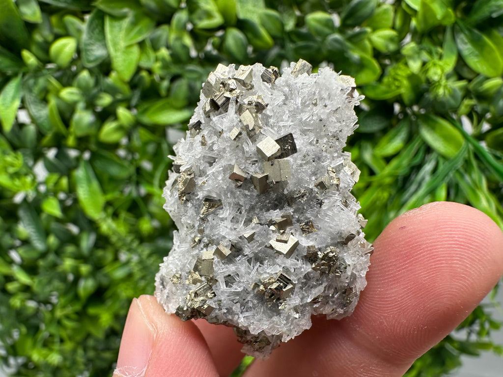 Pyrite on Green Quartz Mineral Specimen, Borieva Mine Bulgaria