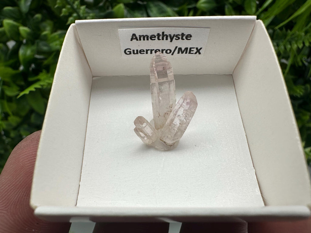 Mexican Amethyst Cluster: Mineral Specimen, Crystal Collection