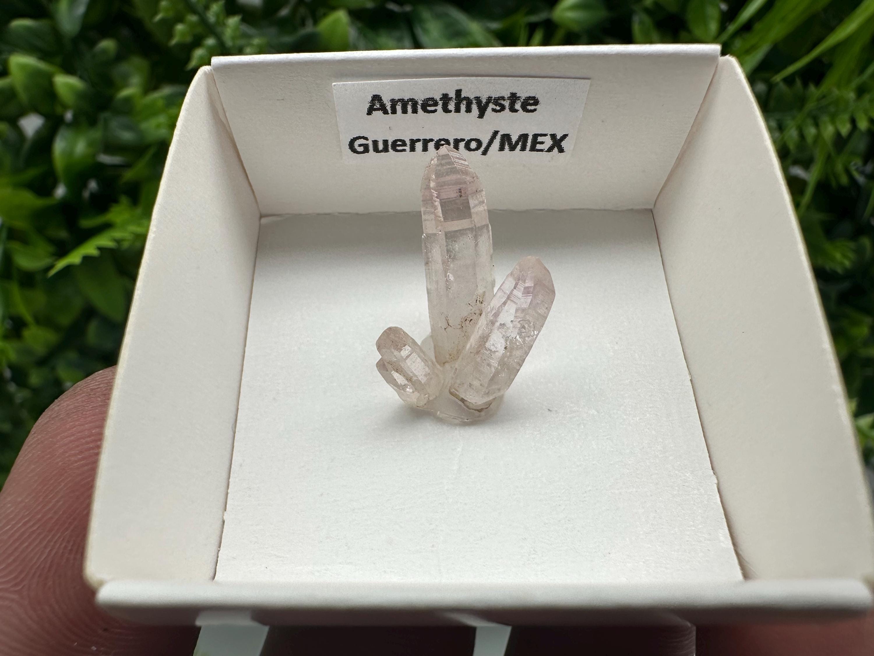Mexican Amethyst Cluster: Mineral Specimen, Crystal Collection