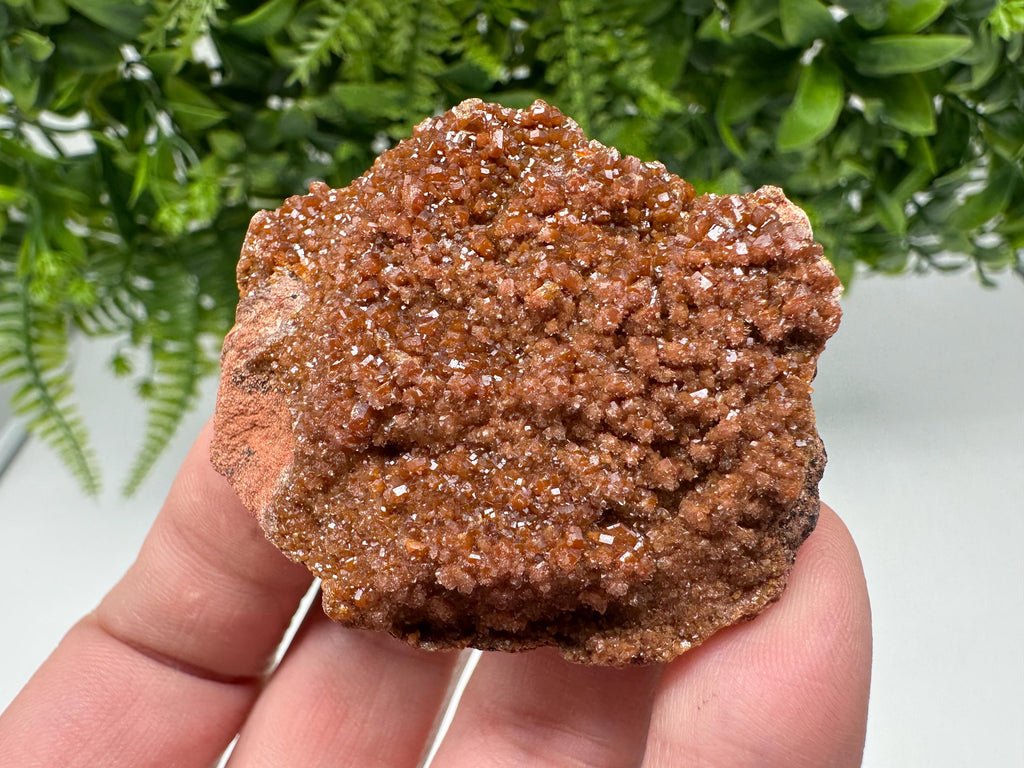 Red Vanadinite on Matrix from Marocco,crystal minerals Speciment cluster Vanadinite crystal Vanadinite Geology Vanadinite cluster minerals