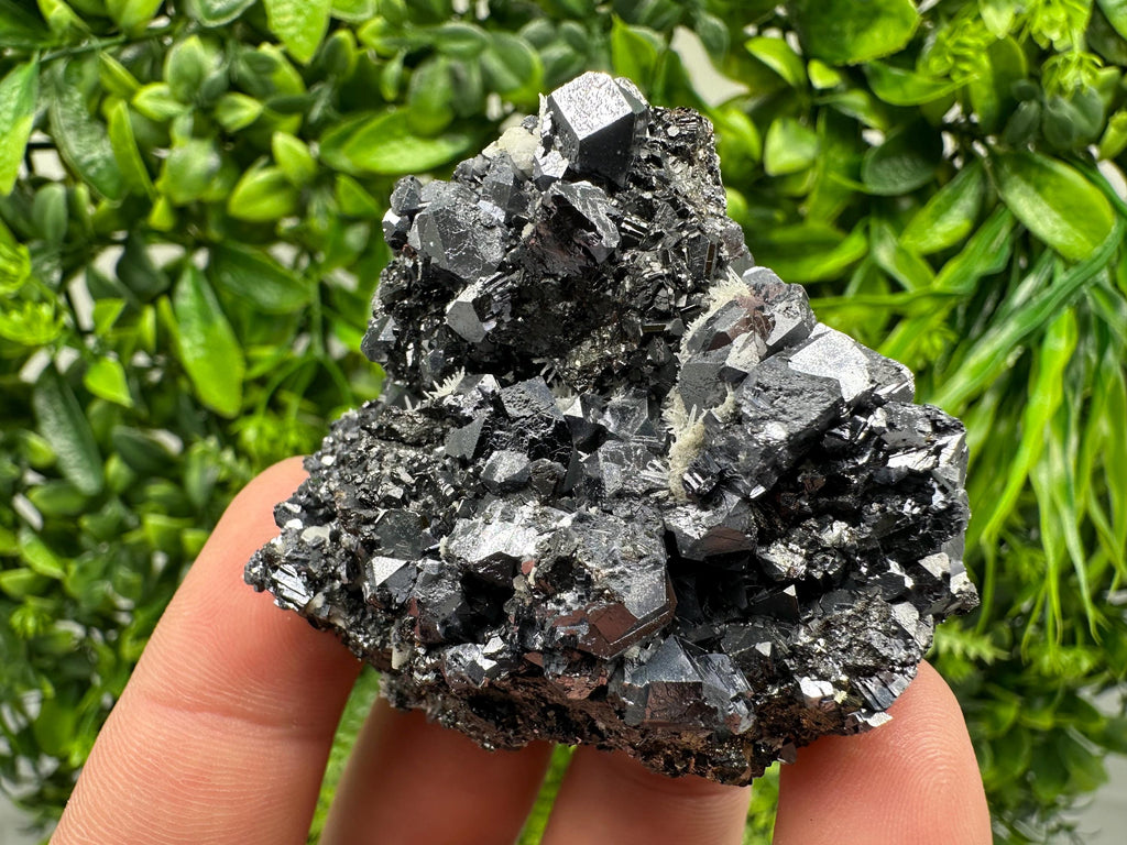 Aesthetic Sphalerite,Galena whit Chlorite from Borieva mine Madan Bulgaria natural minerals souvenir crystal gift home decor stone rock