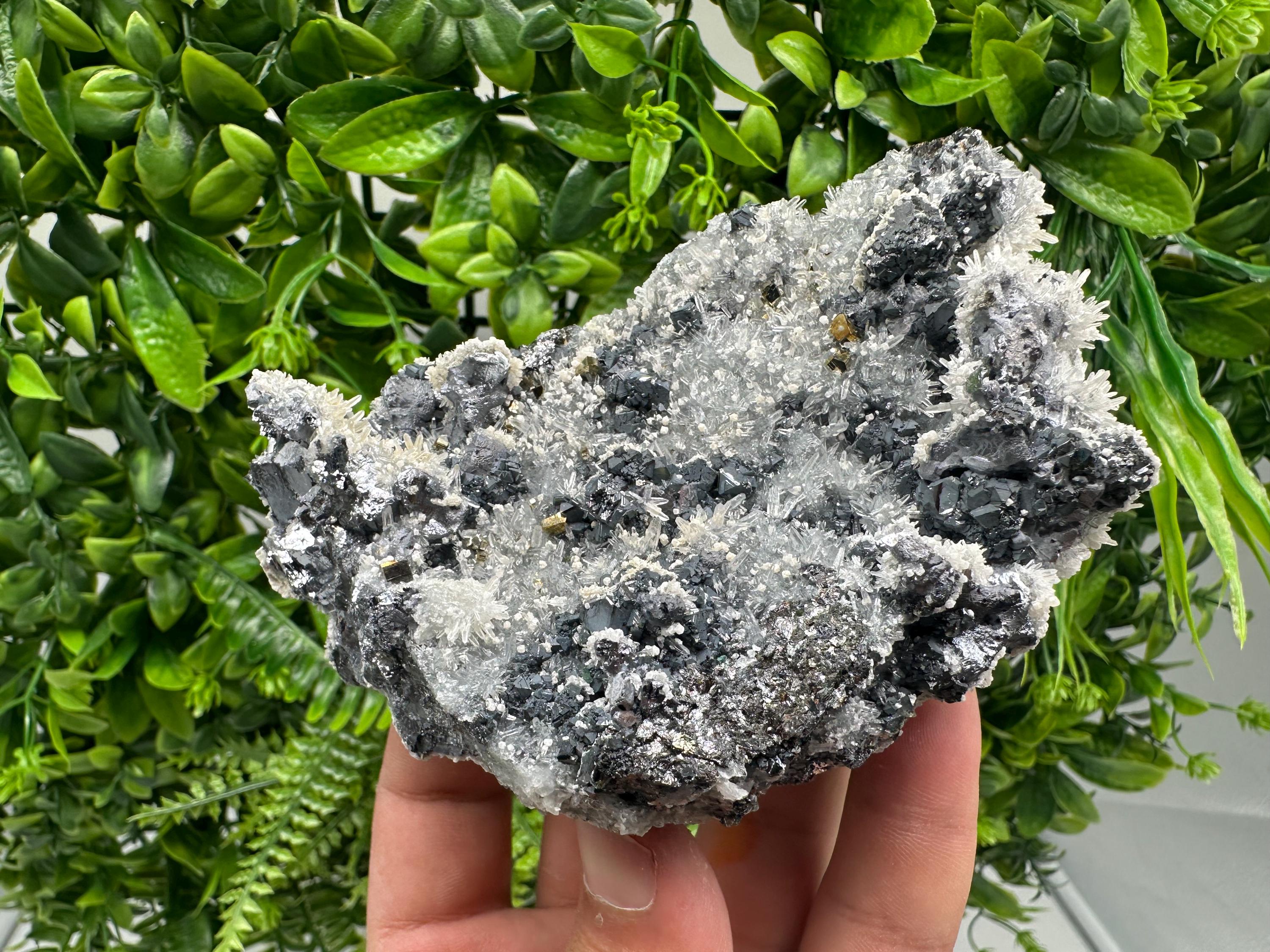 Galena Quartz Pyrite Mineral Specimen: Krushev Dol Mine, Bulgaria